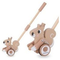 Igrače za potiskanje in vlečenje za dojenčke