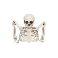 Okostja in lobanje na noč čarovnic