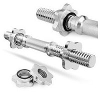 Palice z utežmi in utežmi