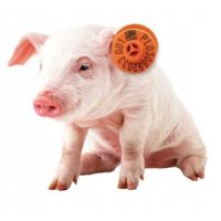 Označevanje živali